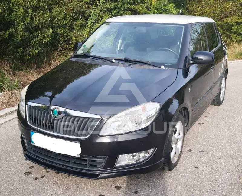 2011 Skoda Fabia
