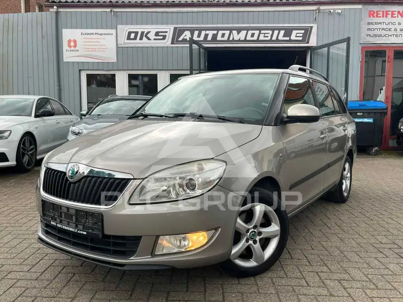 2011 Skoda Fabia