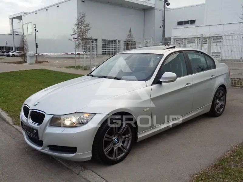 2011 BMW 316