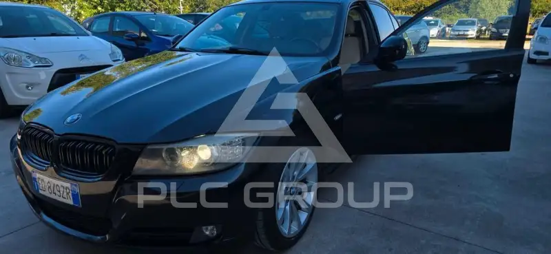 2011 BMW 316