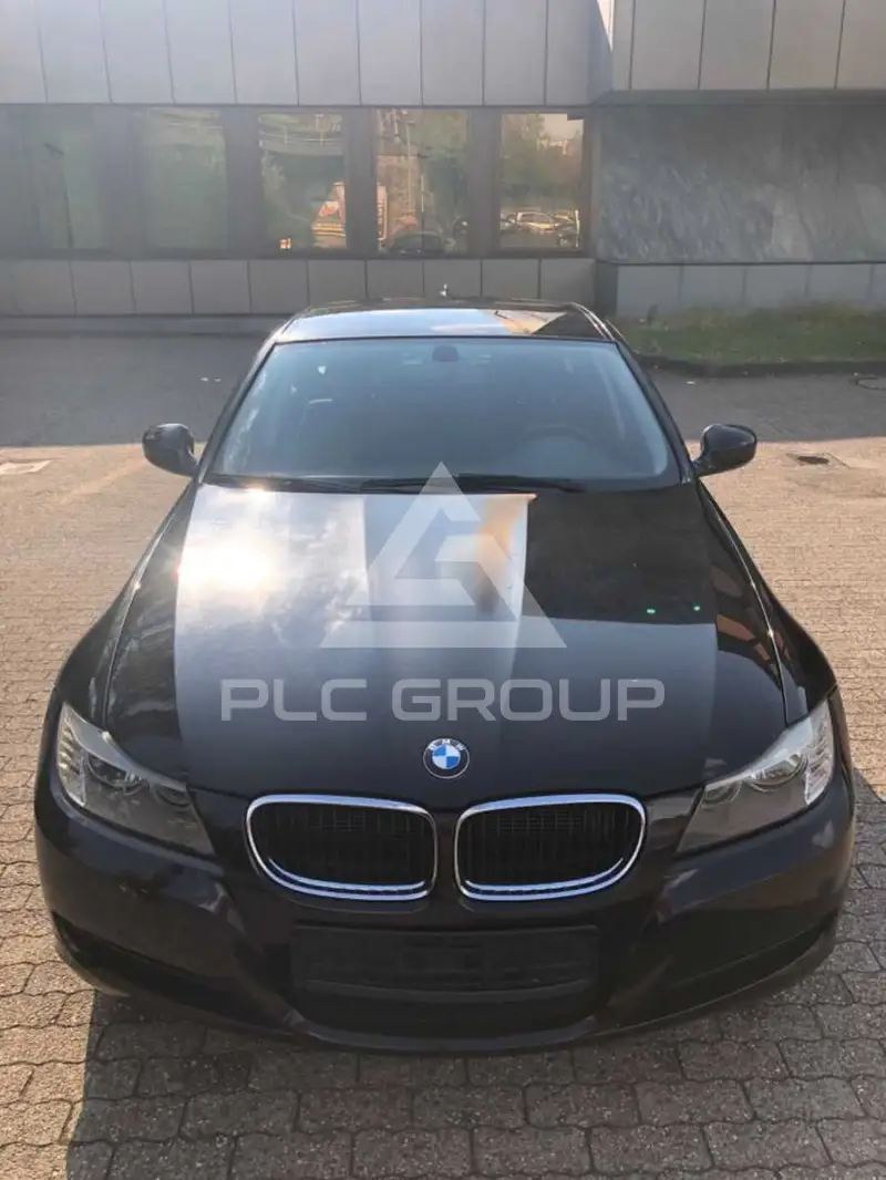2011 BMW 316