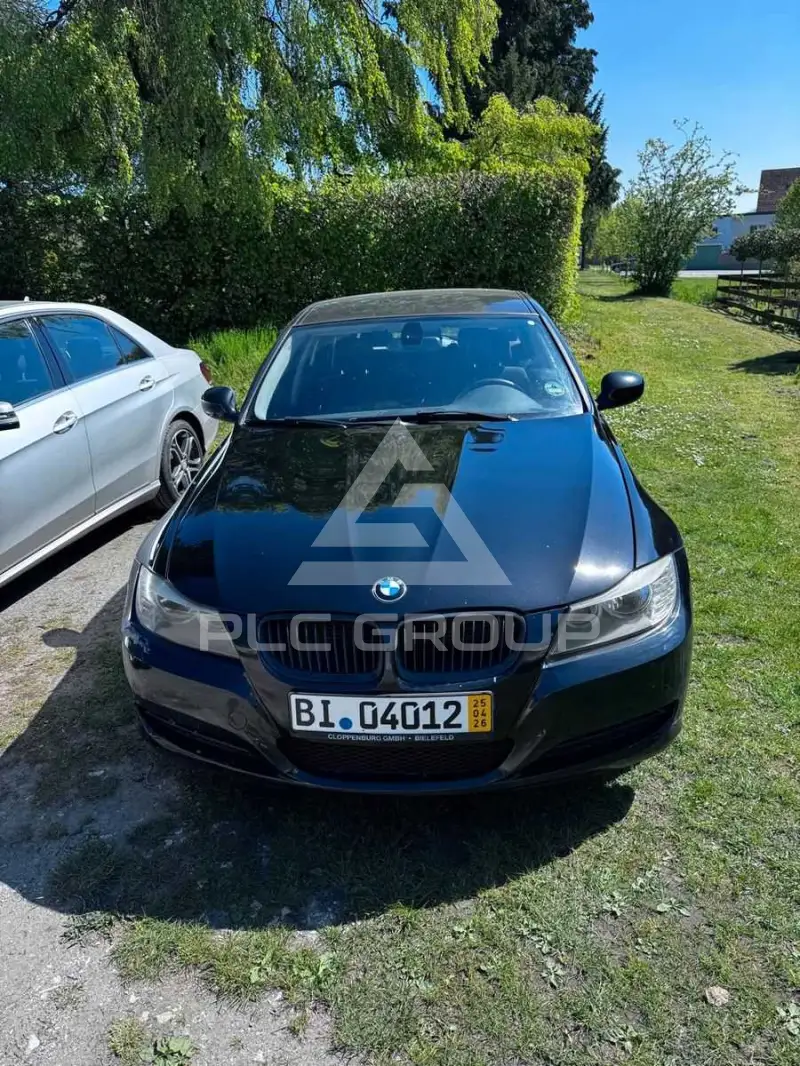 2011 BMW 316