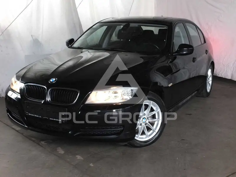 2011 BMW 316