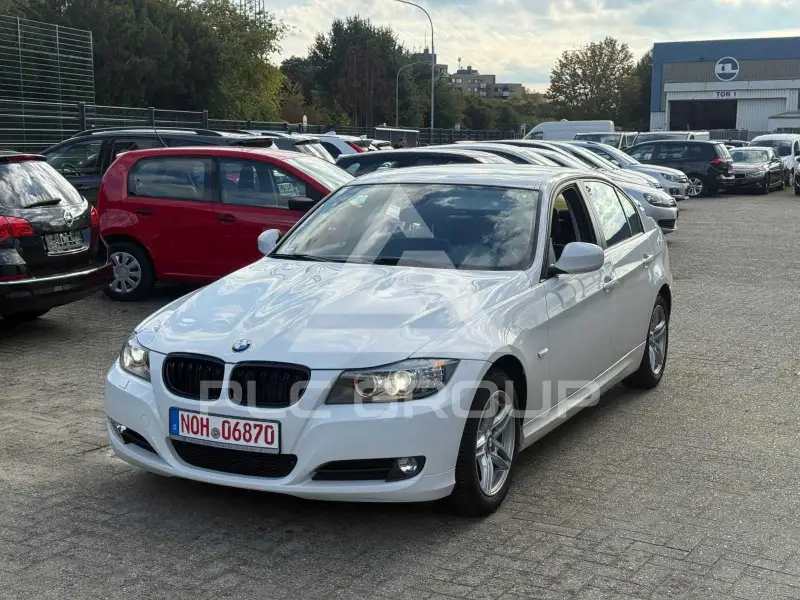 2011 BMW 316