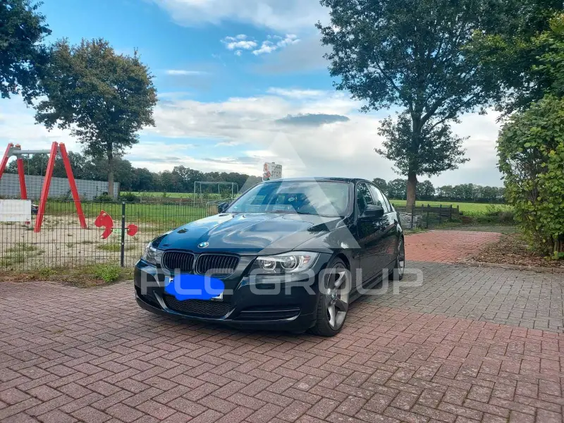 2011 BMW 316