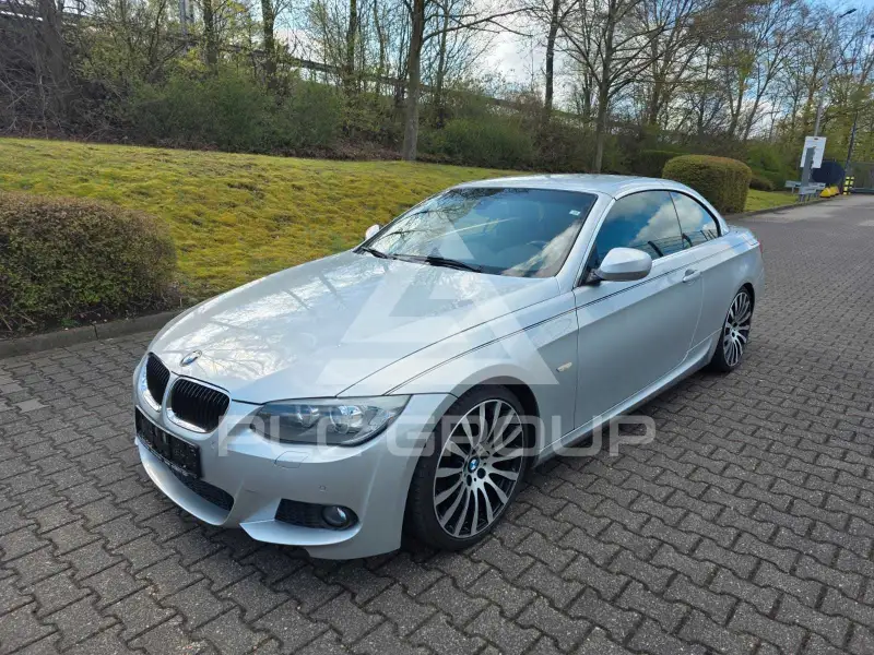 2011 BMW 320