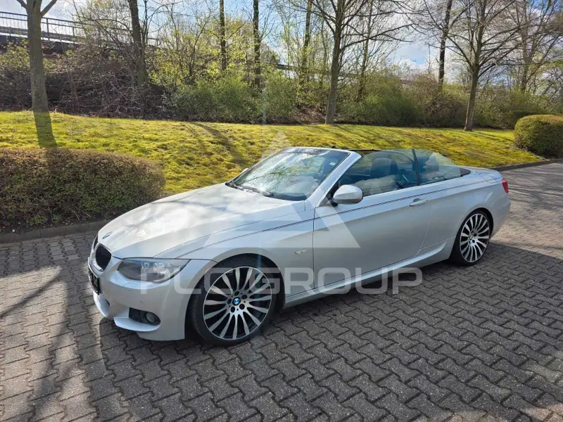 2011 BMW 320