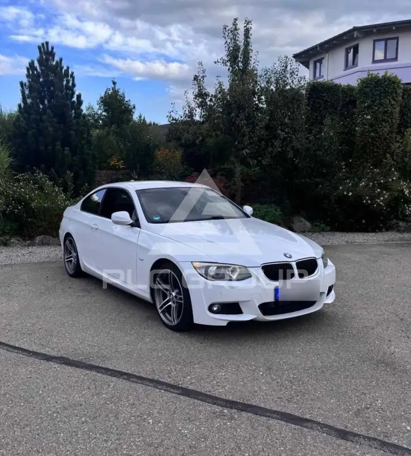 2011 BMW 320