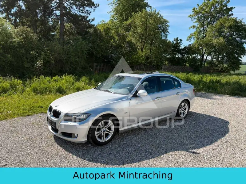 2011 BMW 318