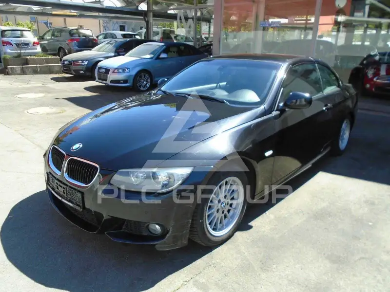 2011 BMW 318
