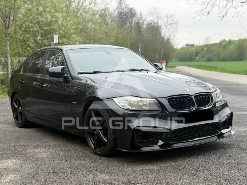 2011 BMW 318