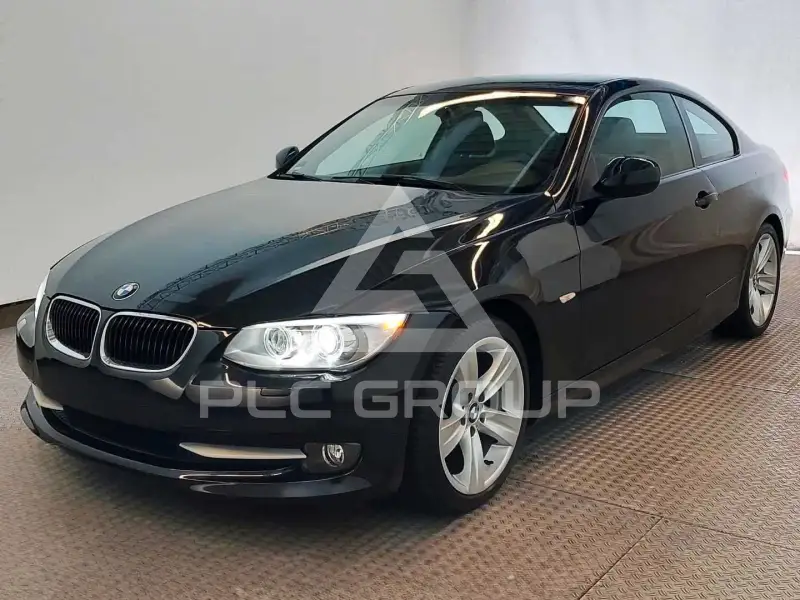 2011 BMW 318