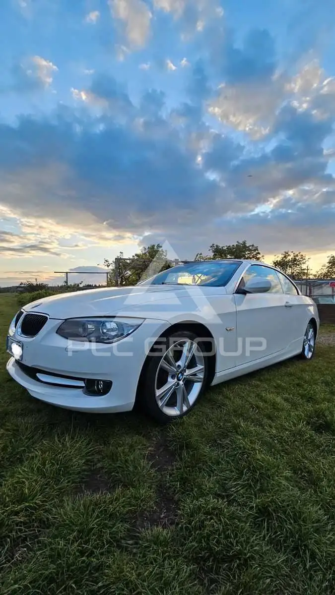 2011 BMW 318