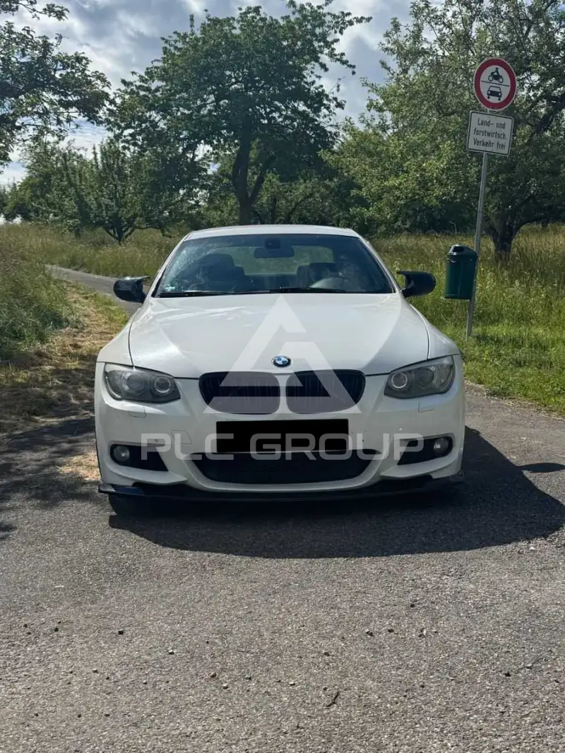 2011 BMW 318