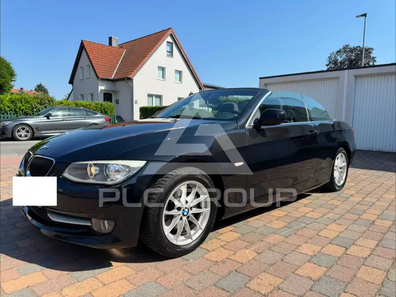 2011 BMW 318