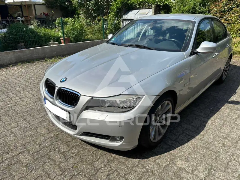 2011 BMW 318