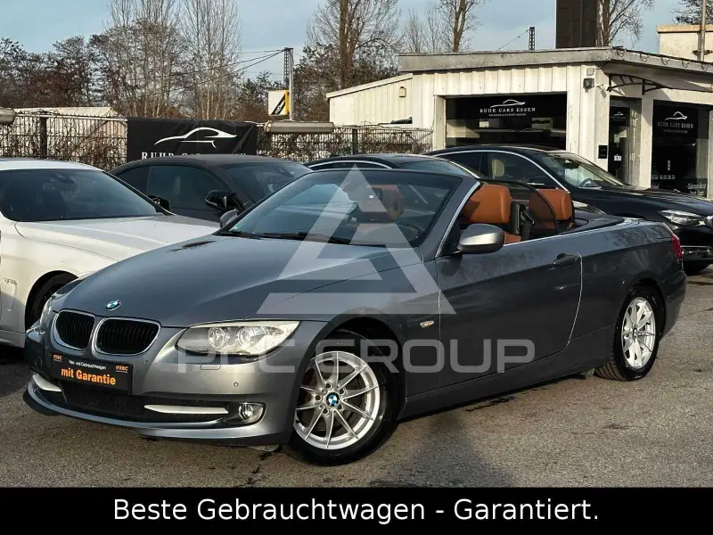 2011 BMW 318