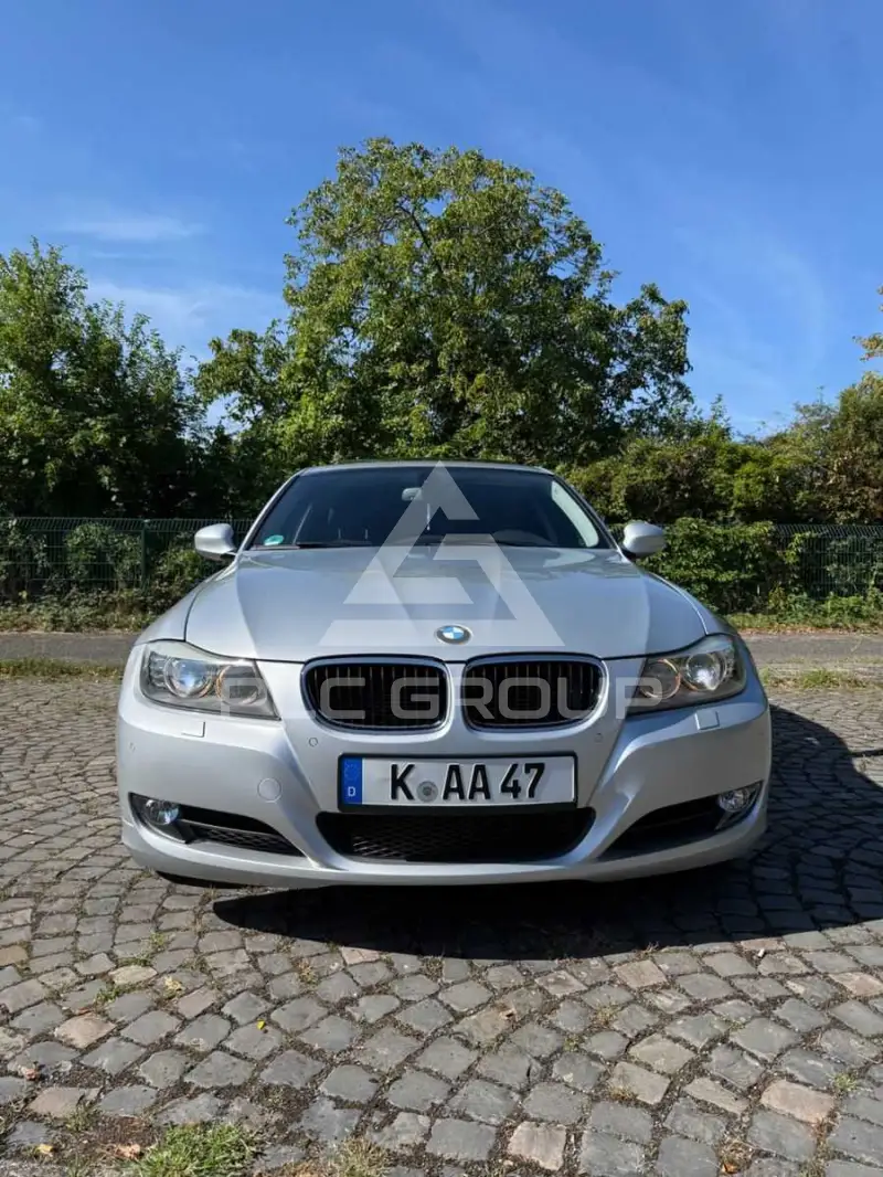 2011 BMW 318