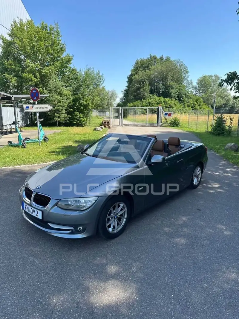 2011 BMW 318