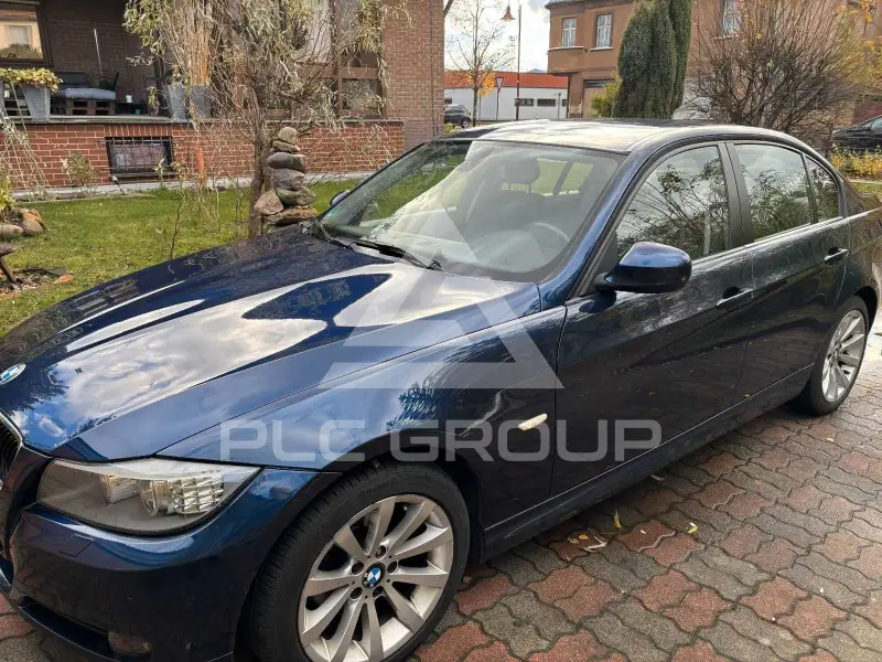 2011 BMW 318