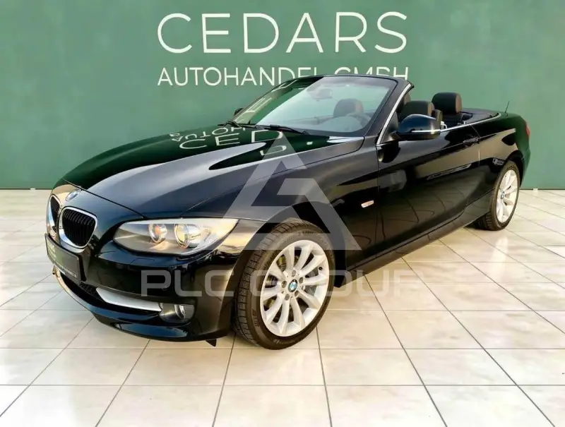 2011 BMW 318