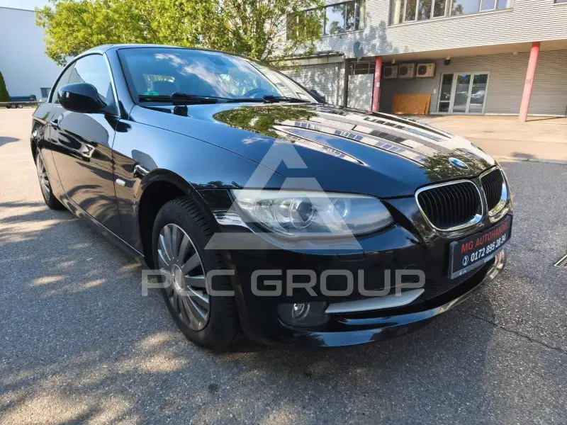 2011 BMW 318