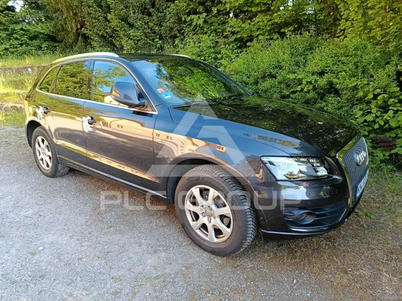 2011 Audi SQ5