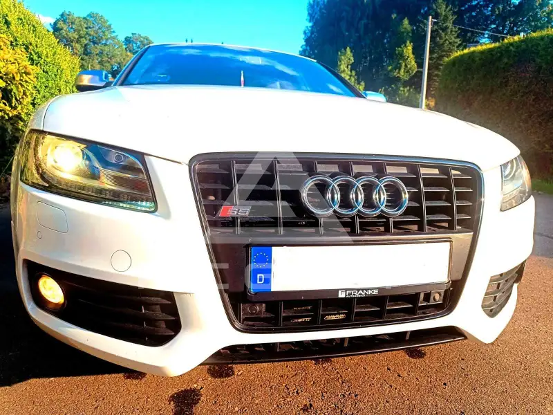 2011 Audi S5