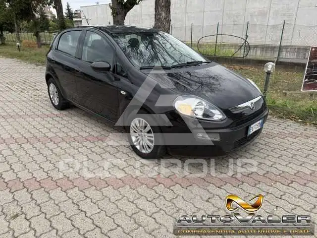 2011 Fiat Punto