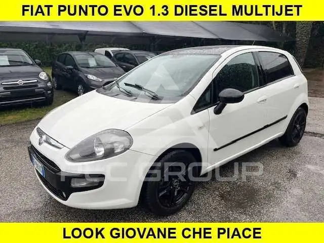 2011 Fiat Punto
