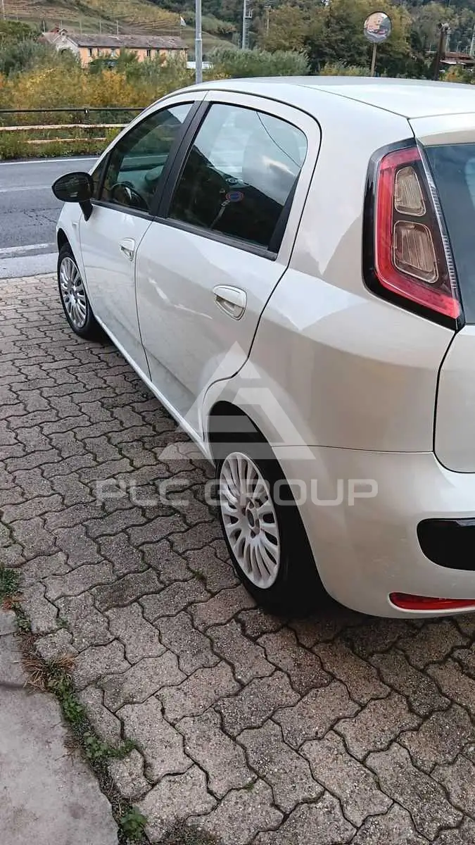 2011 Fiat Punto