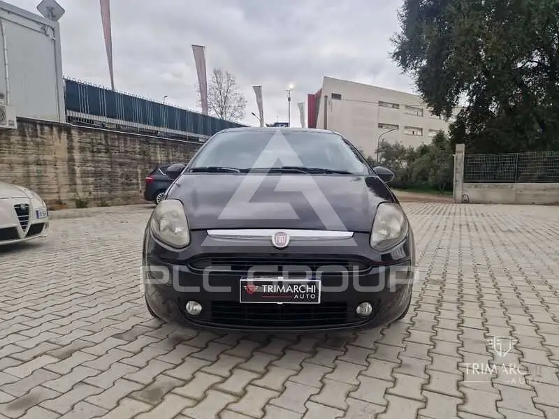 2011 Fiat Punto