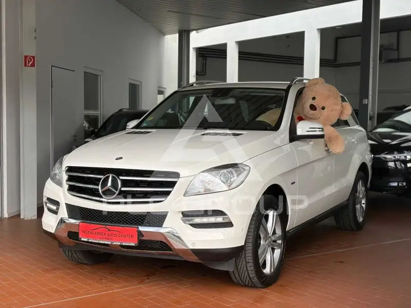 2011 Mercedes Benz ML 250