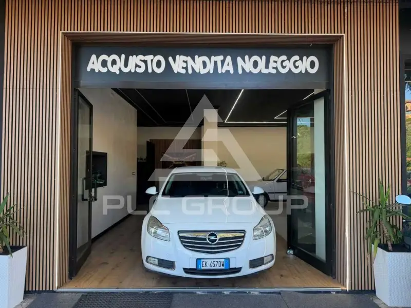 2011 Opel Insignia