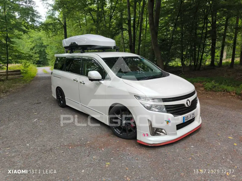 2012 Nissan Other