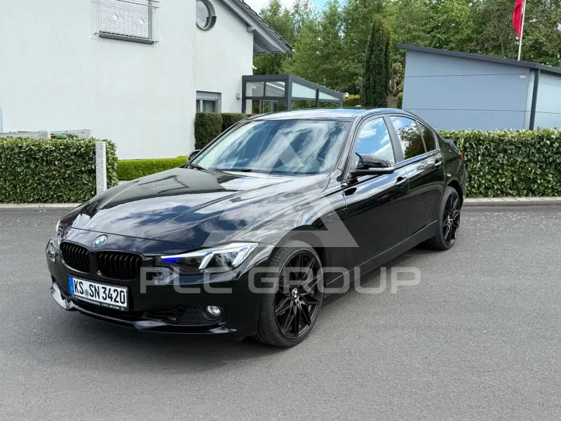 2012 BMW 316