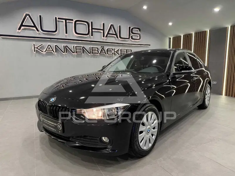 2012 BMW 316