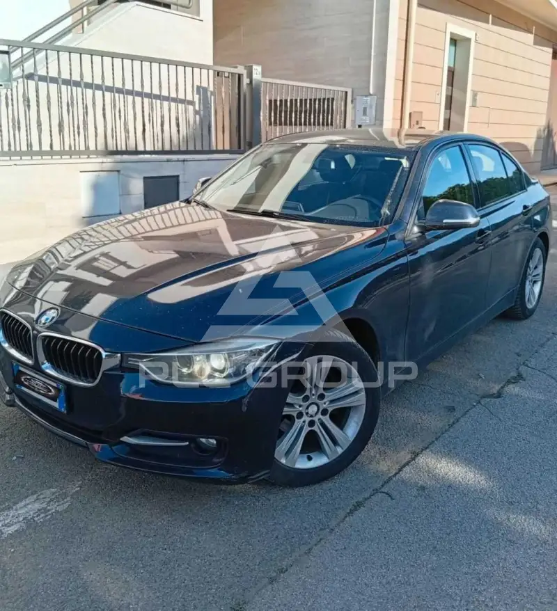 2012 BMW 316