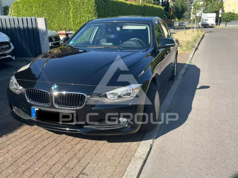 2012 BMW 316