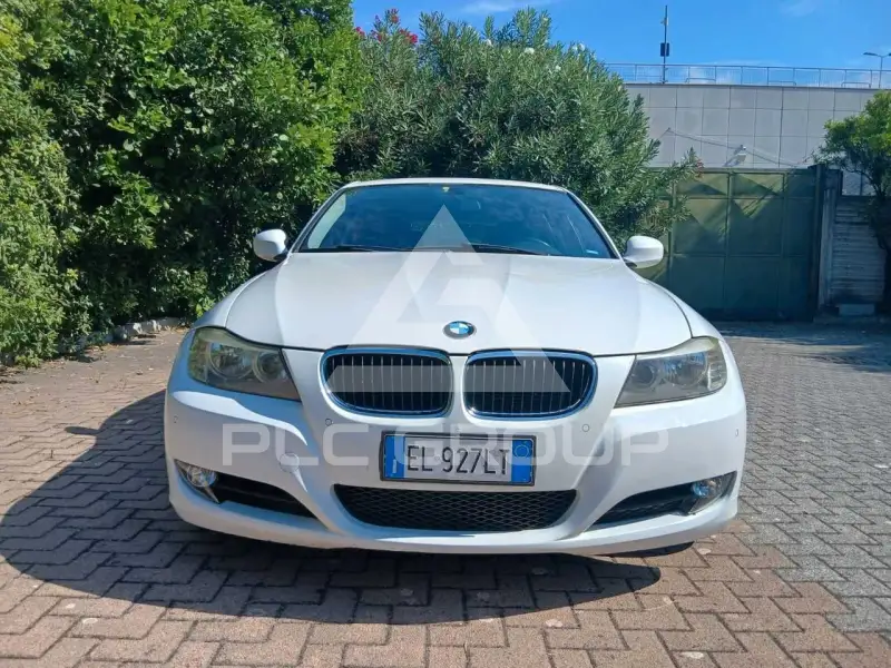 2012 BMW 316