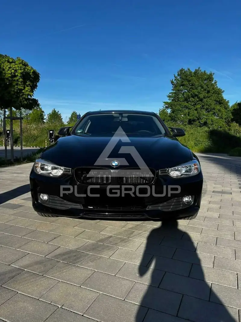 2012 BMW 316