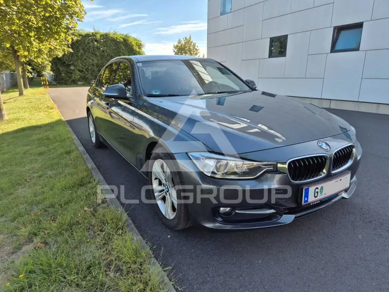 2012 BMW 316