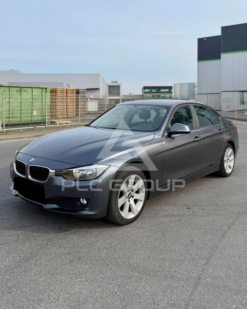 2012 BMW 316