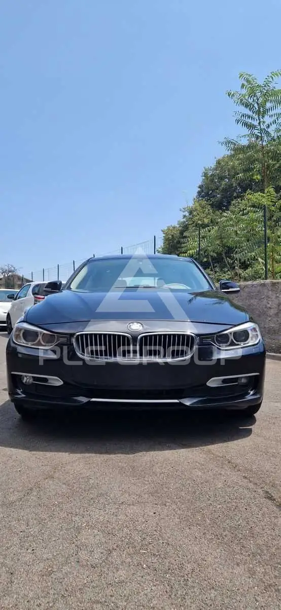 2012 BMW 320