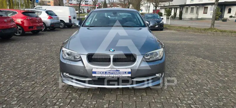 2012 BMW 318
