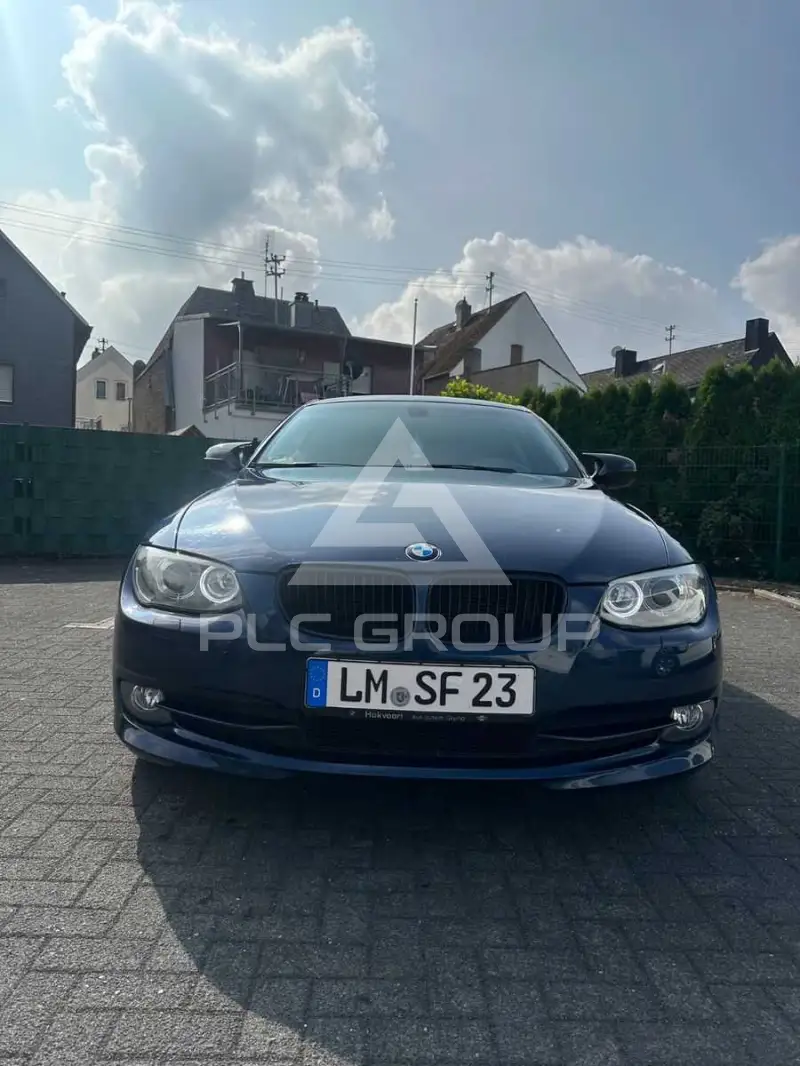 2012 BMW 318
