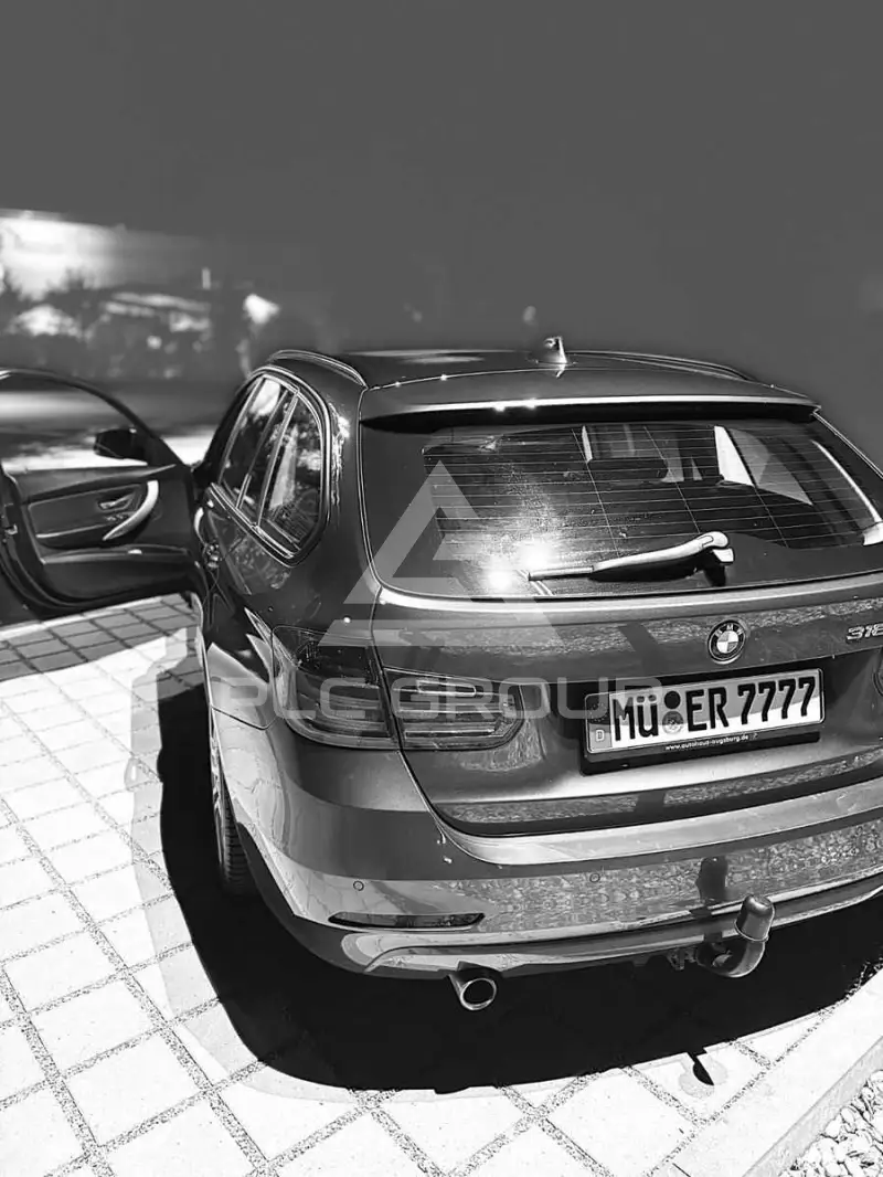 2012 BMW 318