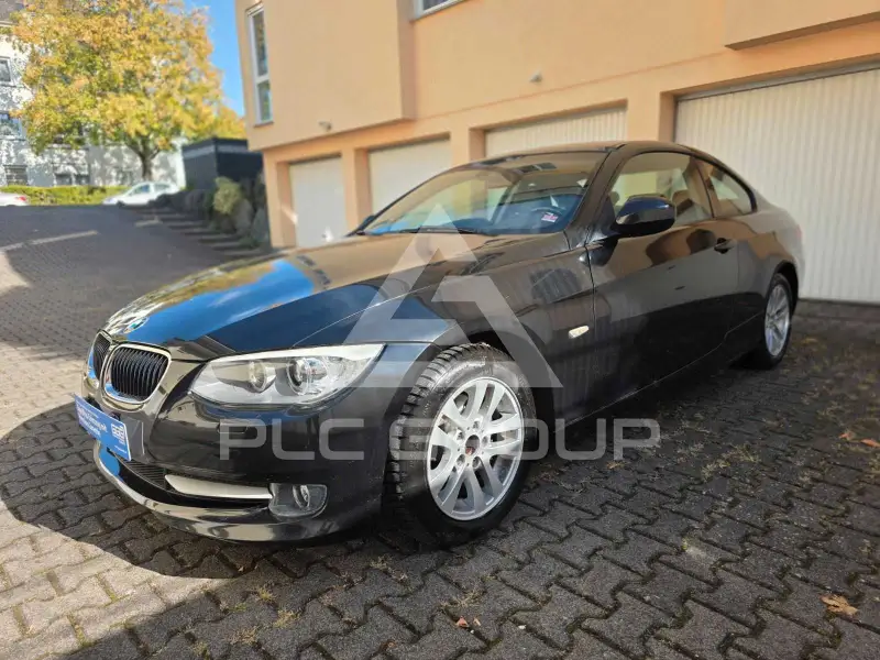 2012 BMW 318