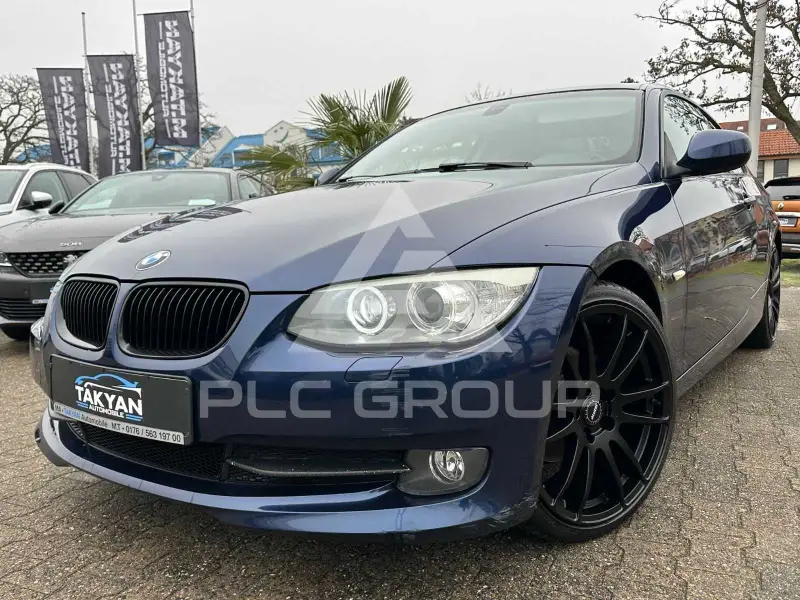 2012 BMW 318