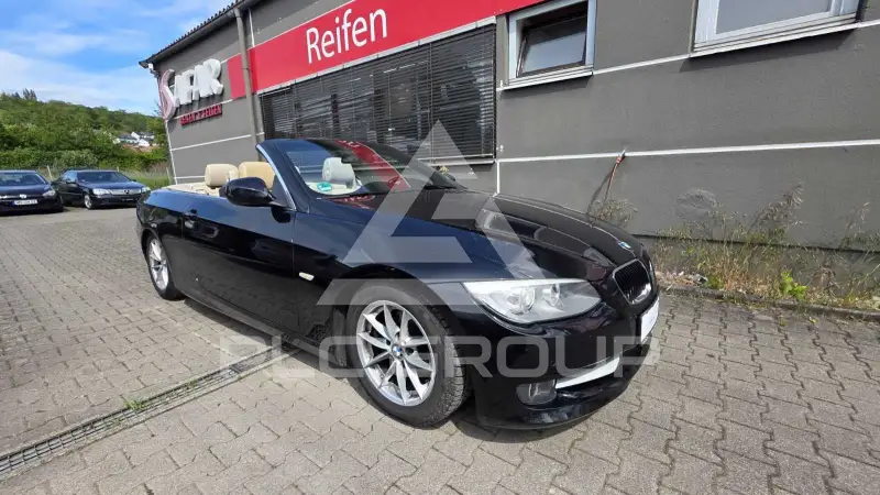 2012 BMW 318